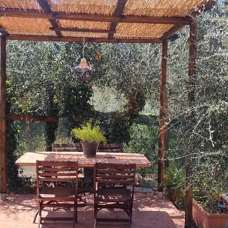 La Merla Del Tasso Camaiore Buitenkant foto