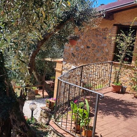 La Merla Del Tasso Camaiore Buitenkant foto