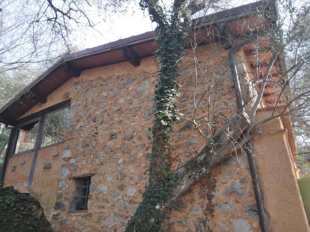 La Merla Del Tasso Camaiore Buitenkant foto