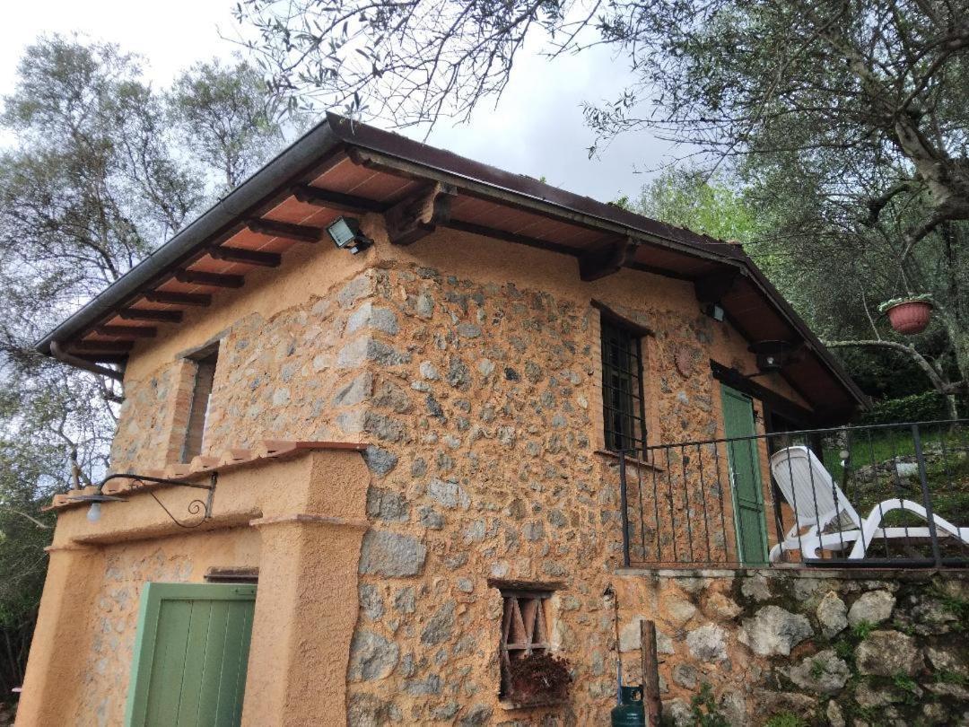 La Merla Del Tasso Camaiore Buitenkant foto