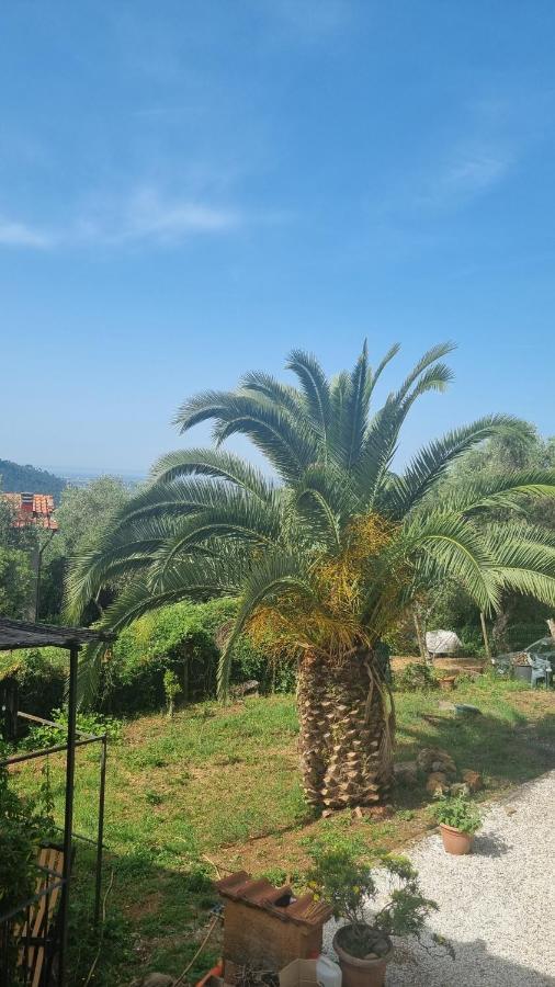La Merla Del Tasso Camaiore Buitenkant foto