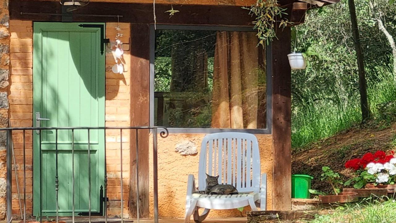 La Merla Del Tasso Camaiore Buitenkant foto