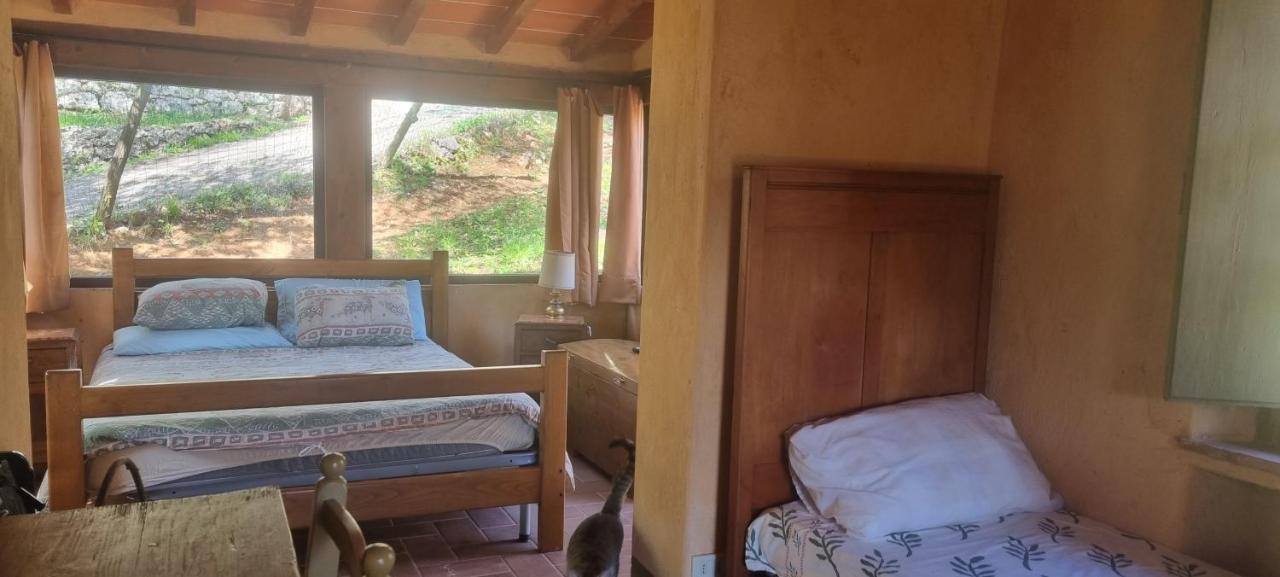 La Merla Del Tasso Camaiore Buitenkant foto
