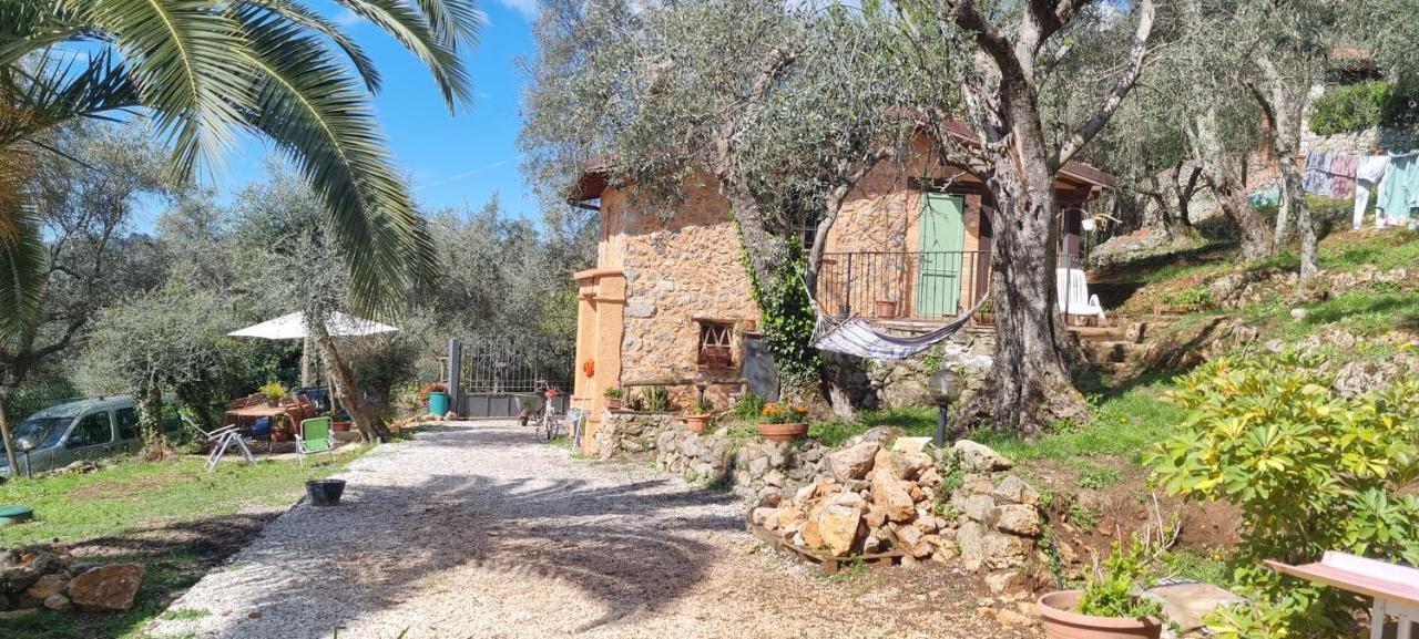 La Merla Del Tasso Camaiore Buitenkant foto